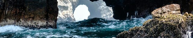Ballestas Isles Detail