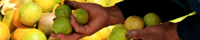 Lemons